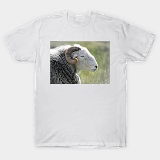 Herdwick Ram T-Shirt